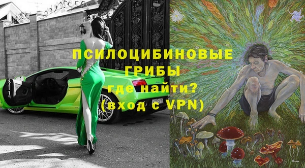 бошки Армянск