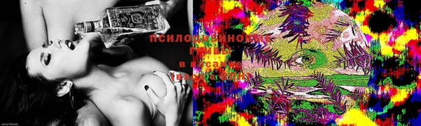 дживик Аркадак